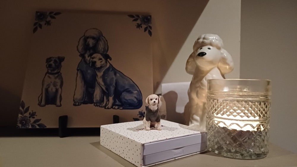 Klantfoto Monique S.